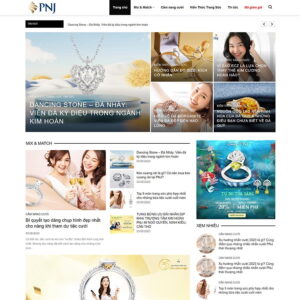 Theme WordPress tin tức 25
